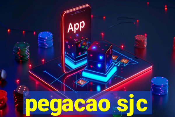 pegacao sjc